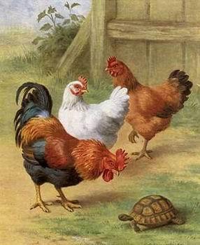 unknow artist Cocks 104 oil painting picture